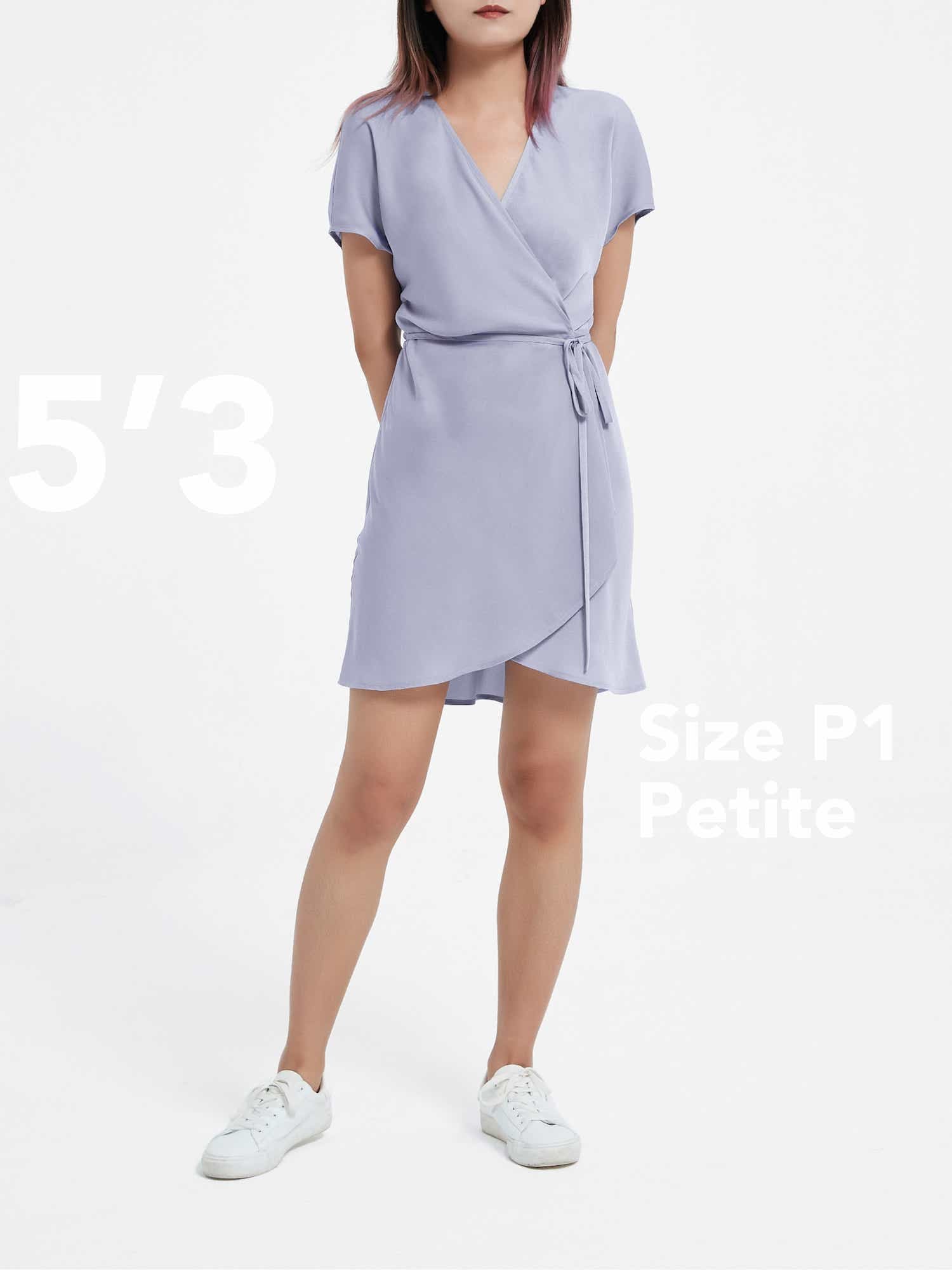 Aritzia wallace dress shop review